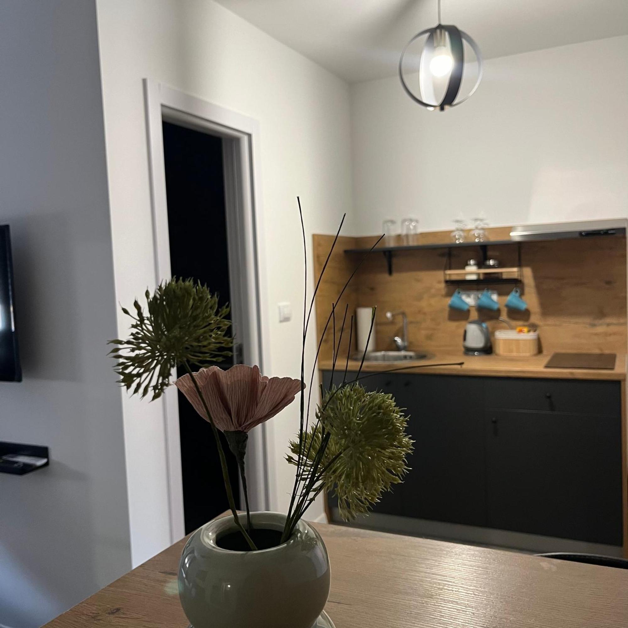 Beoair Apartments Surčin Eksteriør bilde